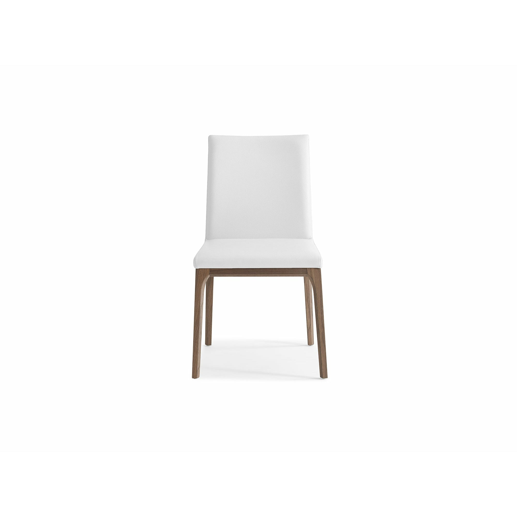 Whiteline Modern Living -Stella Dining Chair DC1454-WLT/WHT