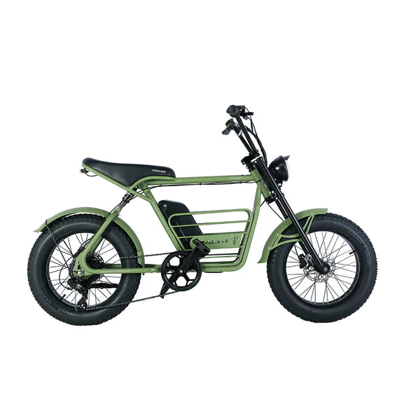 Tracer Verge 20"X4.0 Wheel 800W Motor Electric Fat Bike