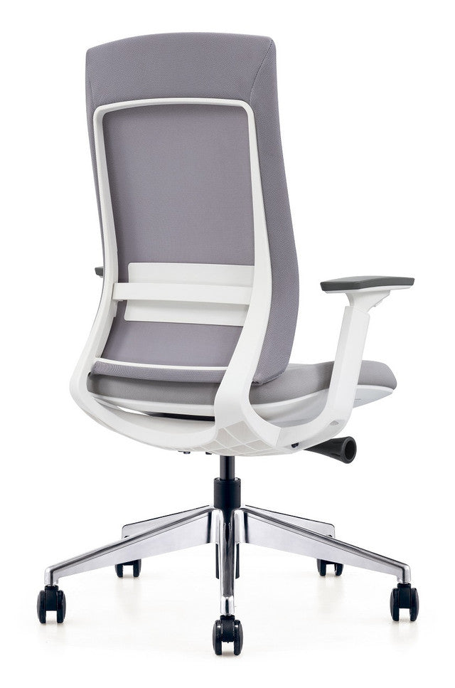 EuroTech Elevate Executive Task Chair White Frame EUR-ELV2-WHT