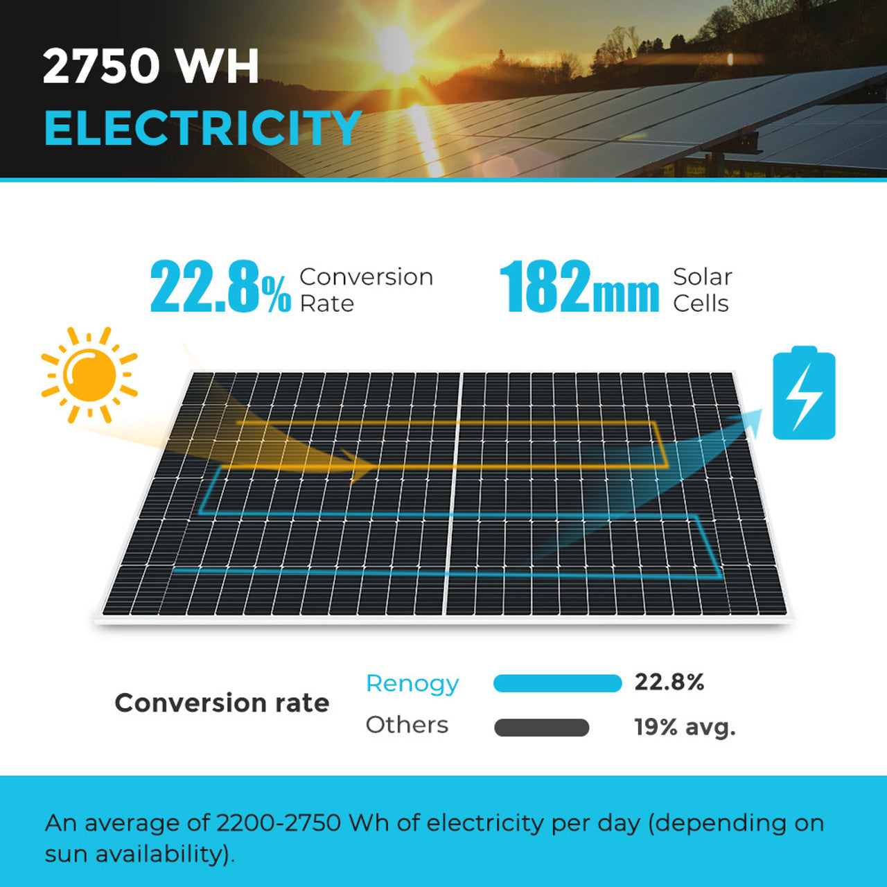 Renogy 550 Watt Monocrystalline Solar Panel 2 pieces RSP550D-144x2-US