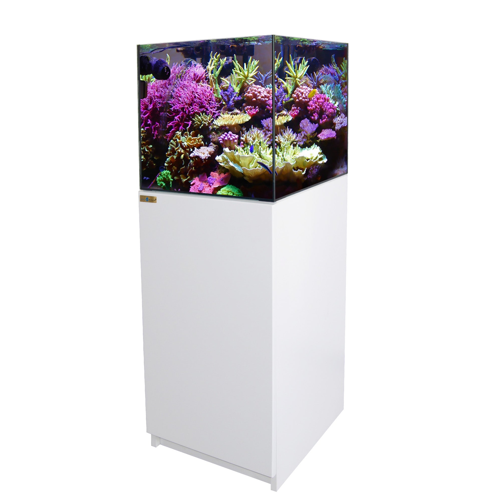 Aqua Dream 50 Gallon Coral Reef Aquarium Tank with Ultra Clear Glass and Built in Sump All White REEF-500-WT