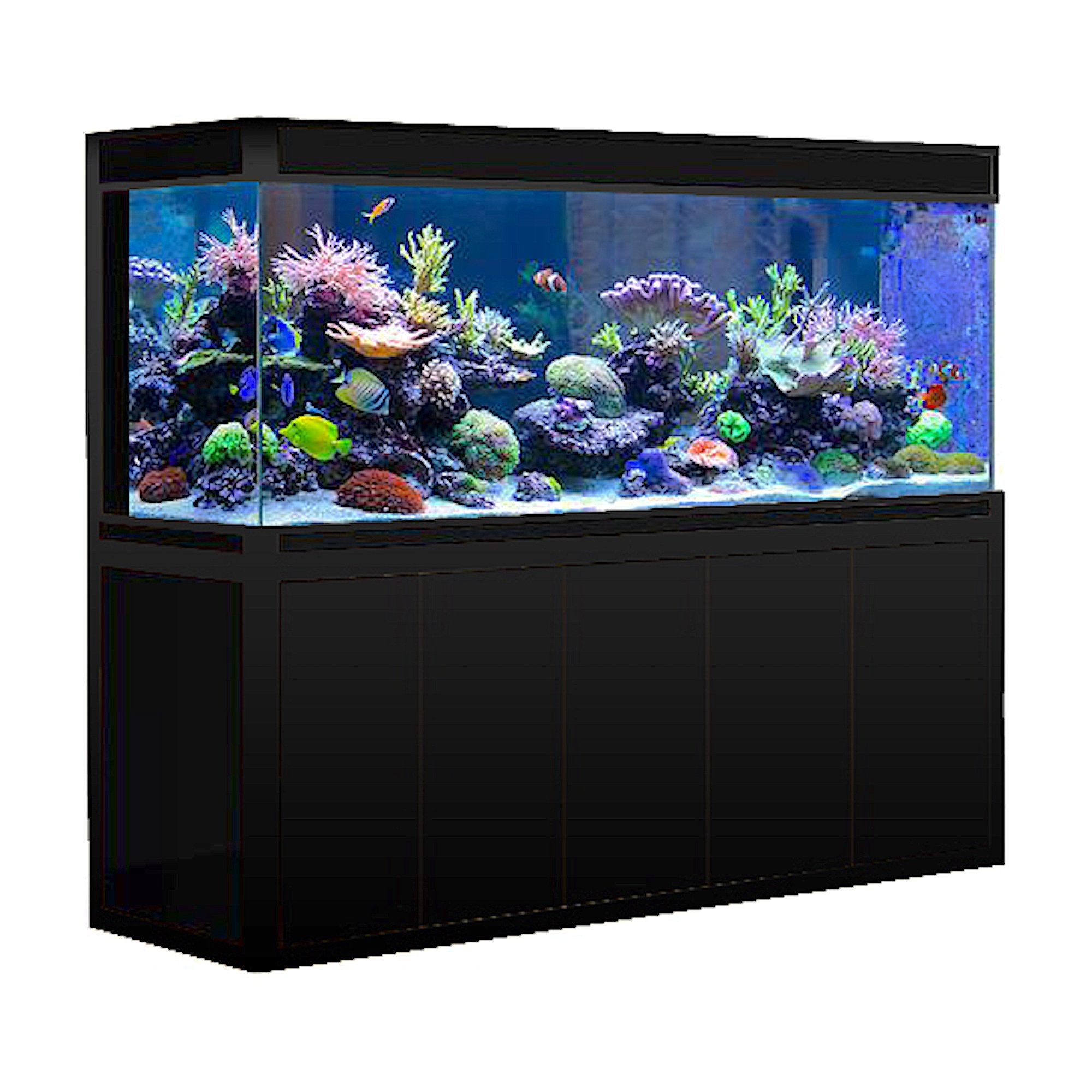 Aqua Dream 260 Gallon Aquarium Black Premium AD-1980-BP